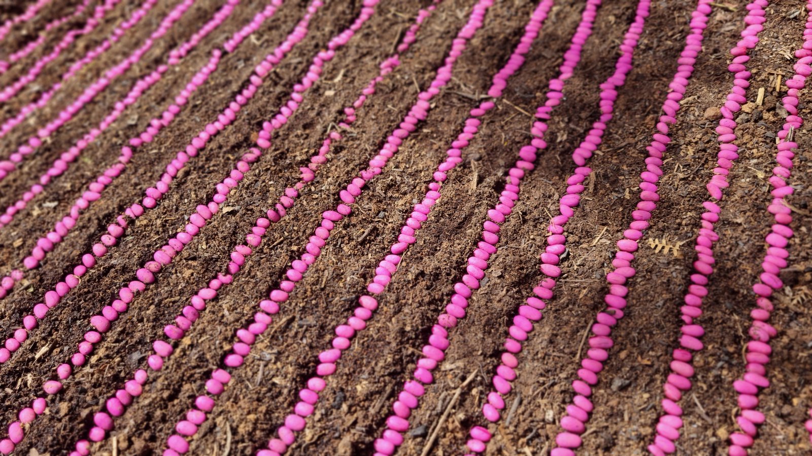 Galería Zothaña - 20240707-103227-20251022-014013-5a52b8.jpg