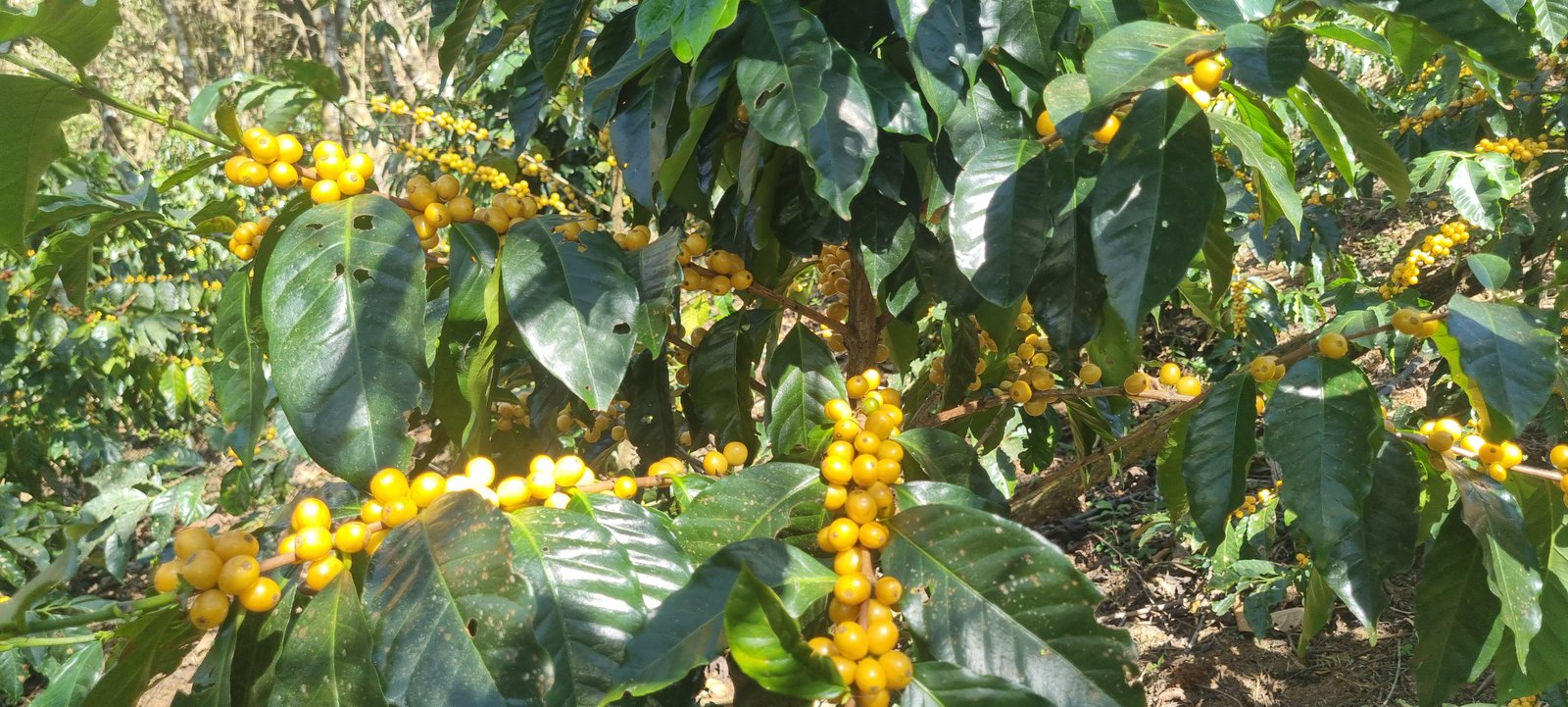 Galería Zothaña - 20250802-142832-20251021-214953-c05dab.jpg