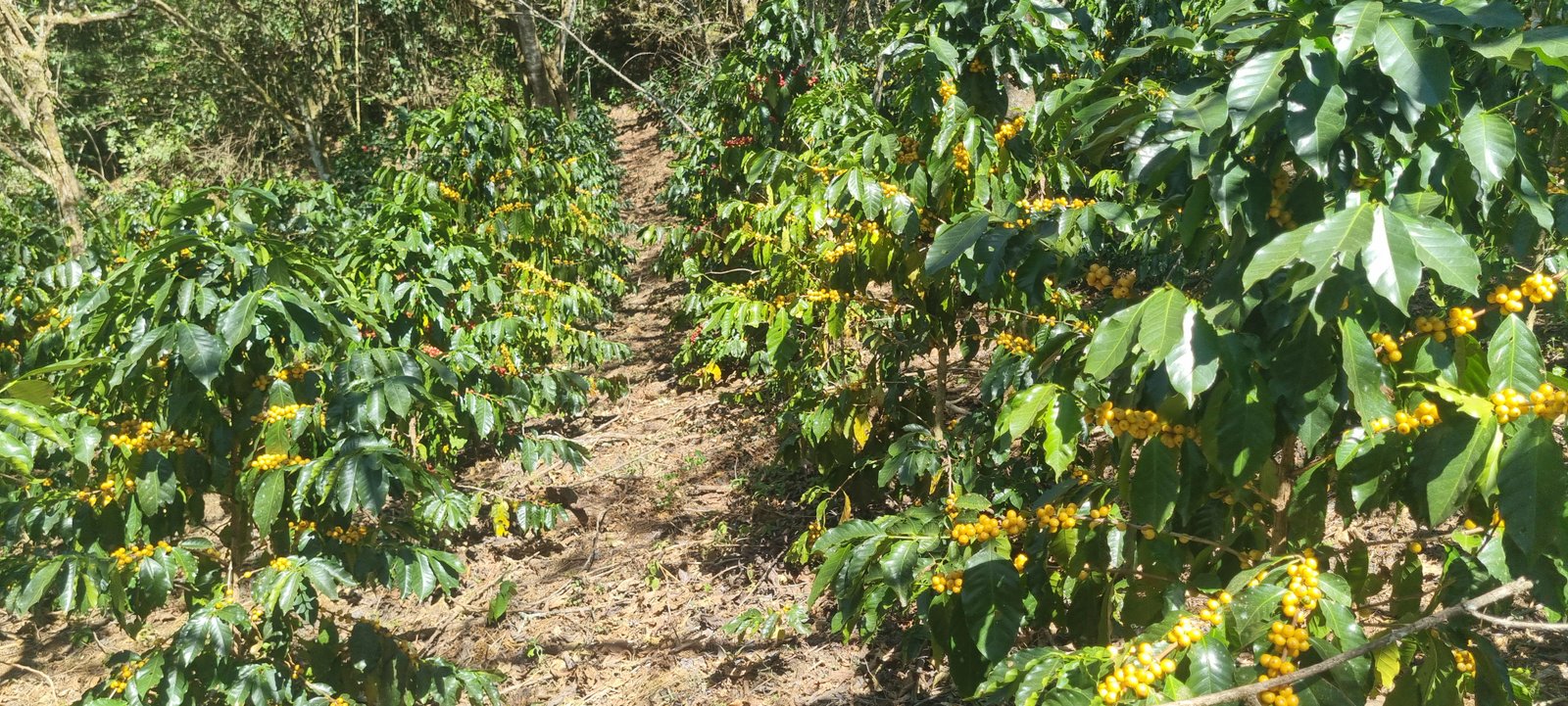 Galería Zothaña - 20250802-142856-20251021-220836-0fc1d1.jpg