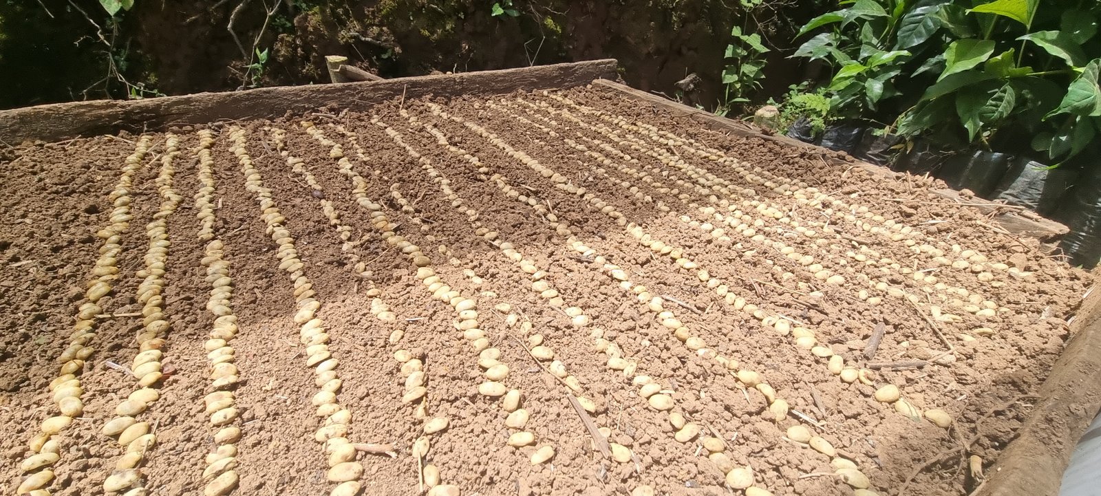 Galería Zothaña - 20250928-112205-20251021-215154-898980.jpg