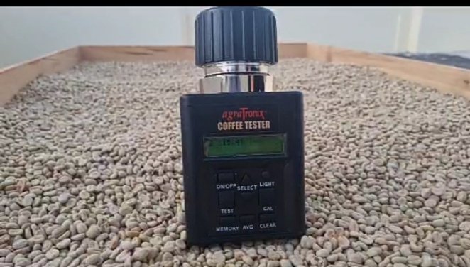 Galería Zothaña - WhatsApp%20Image%202025-10-21%20at%2017.44.49.jpeg